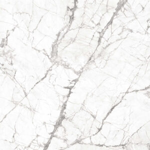 Invisible White