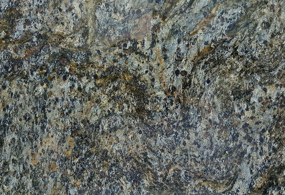 Cosmus